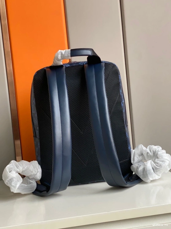 WIS SPRINTER LOUIS BACKPACK VUITTON 0815